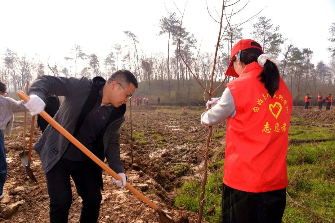 11.植绿护绿增绿 共建美好家园——固始县检察院开展义务植树活动.jpg